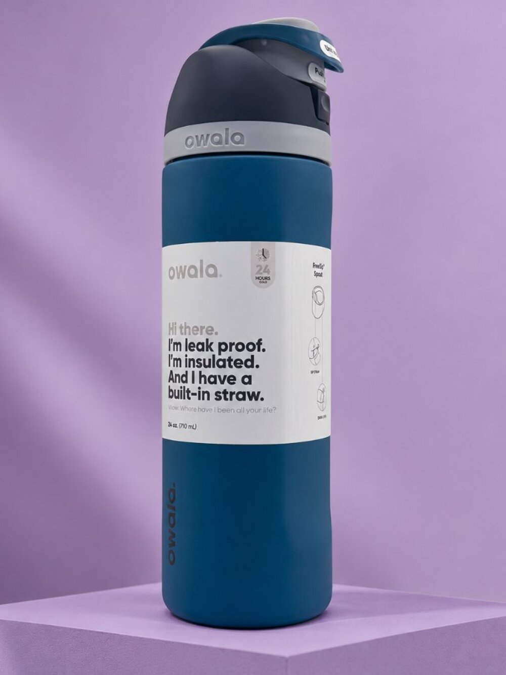 Owala 24oz Water Bottle Leakproof Insulated Straw Bottle